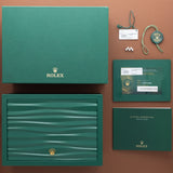2025 Rolex Datejust Mint Dial - Brand New/Unworn (Ref. 126234)