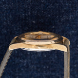 1965 Omega Seamaster Crosshair dial (Ref. 166.010)