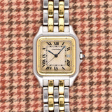Cartier Panthere Large Double Row