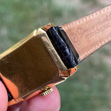 Hamilton Seckron - Doctors Tank