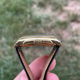 Hamilton Seckron - Doctors Tank