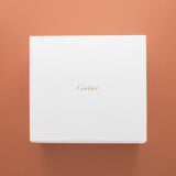 2025 Cartier Santos Medium - New w/ Box & Papers (Ref. WSSA0029)