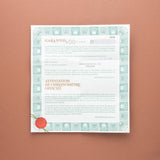 1999 Rolex GMT-Master Pepsi - Box and Papers Collector's Set (Ref. 16700)