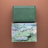 1999 Rolex GMT-Master Pepsi - Box and Papers Collector's Set (Ref. 16700)