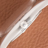 1960s Omega Seamaster Rare Meister Sparkle Dial (Ref. 165.067)