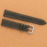 Olive Small Scale Alligator