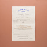 Franck Muller Conquistador Diamond and Ruby Red Zone - Box and Papers (Ref. 10000L SC D CD)