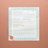 1999 Rolex GMT Master II Black Bezel - Papers (Ref. 16710)