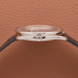 Hermès Cheval d'Orient Limited Edition Painted Horse Dial (Ref. 040827WW00)