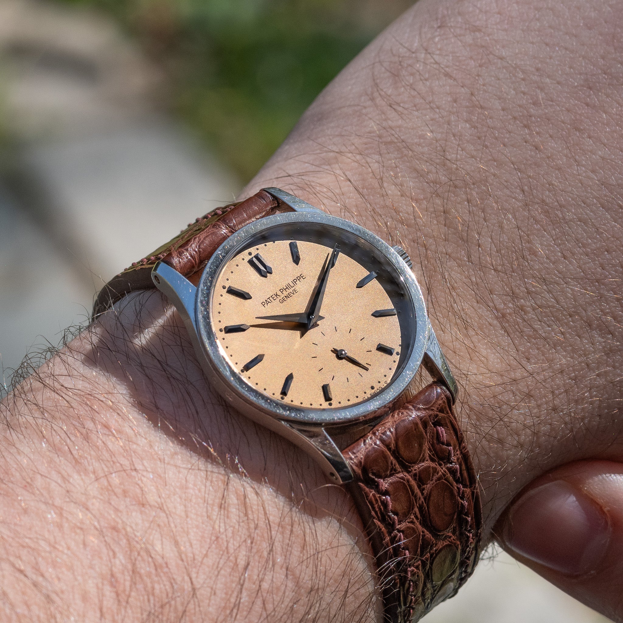 Patek Philippe Calatrava Rare Salmon Dial - Complete Collectors