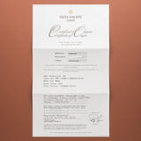 2009 Patek Philippe Platinum Breguet Calatrava  - Papers (Ref. 5196P)