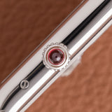 Cartier Tank Asymétrique 5th Avenue New York Edition (Ref. WGTA0120)