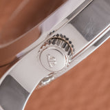 Jaeger-LeCoultre Master Geographic World Time (Ref. 142.8.92.S)