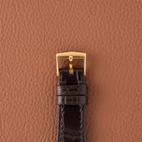 1995 Patek Philippe Calatrava Patina DIal - Box and Papers (Ref. 3796J)