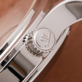 Jaeger-LeCoultre Master Control Memovox Reveil (Ref. 141.8.97/1)