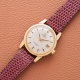 1960 Omega Seamaster Calender Crosshair Dial Chubby Case