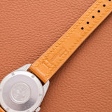 Omega Seamaster Sparkle Dial (Ref. 165.067)