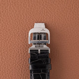Jaeger-LeCoultre Master Control Memovox (Ref. 174.8.96)